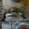 Orfala article 102144