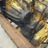 Orfala article 109005