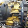 Orfala article 109005
