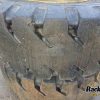 Orfala article 111099