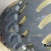 Orfala article 111120
