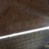 Orfala article 100880