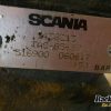 Orfala article 101106