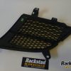 Orfala article 101644