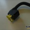 Orfala article 101683