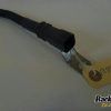 Orfala article 101683