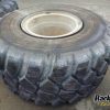 Orfala article 102935