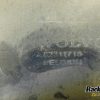 Orfala article 104602