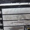 Orfala article 104716