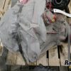Orfala article 104845