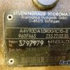 Orfala article 104861