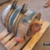 Orfala article 106015