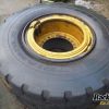 Orfala article 106528
