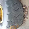 Orfala article 106528
