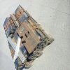 Orfala article 107272