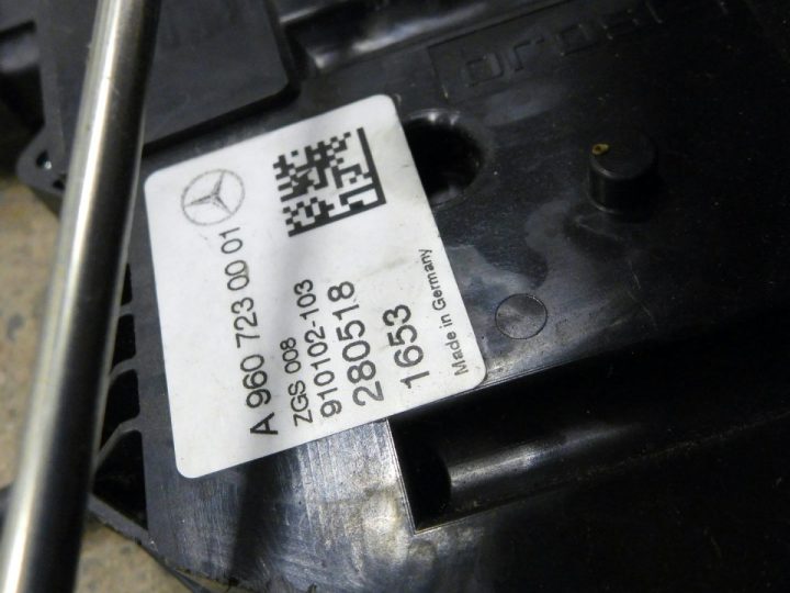 Orfala article 110871