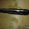 Orfala article 111021