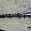 Orfala article 113028