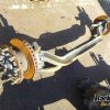 Orfala article 114828