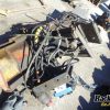 Orfala article 114844