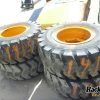 Orfala article 114863
