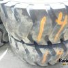 Orfala article 114863