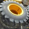 Orfala article 114863