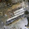 Orfala article 115332