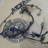 Orfala article 115534