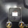Orfala article 116011