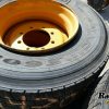 Orfala article 116071