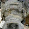 Orfala article 116132