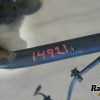 Orfala article 117949