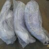 Orfala article 118028