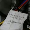Orfala article 118041