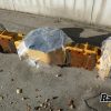 Orfala article 118088