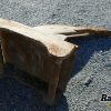 Orfala article 118097