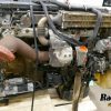 Orfala article 120056
