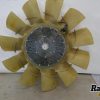 Orfala article 120451