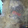 Orfala article 121236