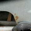 Orfala article 122255
