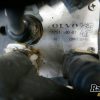 Orfala article 122340