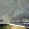 Orfala article 122827