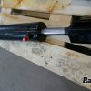 Orfala article 123396