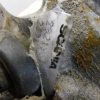 Orfala article 123680