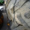 Orfala article 123788