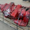 Orfala article 124379