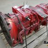 Orfala article 124379