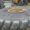 Orfala article 124598