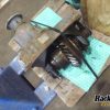 Orfala article 124605